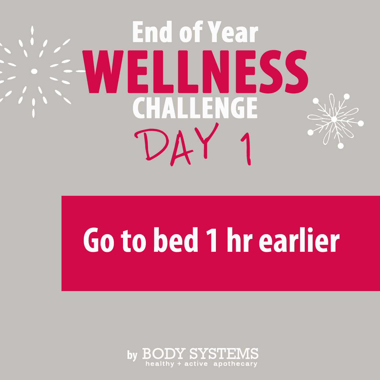 Wellness Challenge Day 1 Body Systems